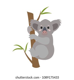 Cute koala on white background. Vector illustration.