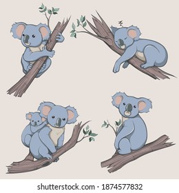 Cute Koala Poses Cartoon Vector Illustration