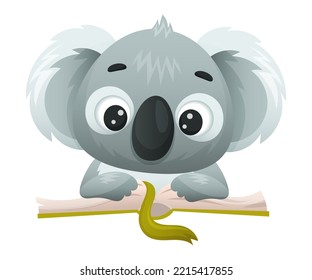 Cute Koala Reading Book in Hard Cover Enjoying Interesting Story Vector Illustration