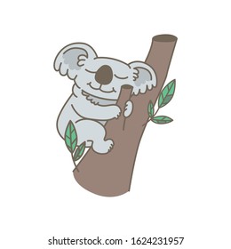 Cute Koala resting and sleeping on his tree.