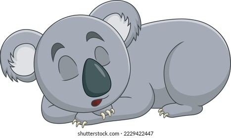 Cute koala sleeping isolated on white background