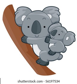 Cute Koala - Vector