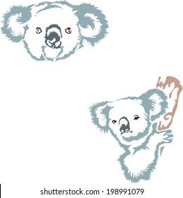 Cute Koalas