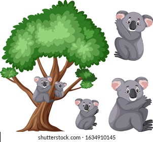 Cute koalas on the big tree on white background illustration
