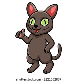 Cute Korat Cat Cartoon Giving Thumbs Up