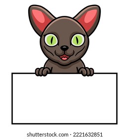 Cute Korat Cat Cartoon Holding Blank Sign