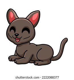 Cute korat cat cartoon sitting