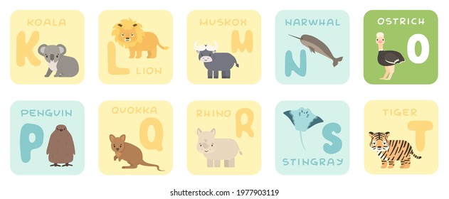 Cute K-T alphabet cards with cartoon savannah African animals. Vector zoo illustrations. Koala, lion, Muskox, narwhal, ostrich, penguin, quokka, rhino, stingray, tiger. Flat style