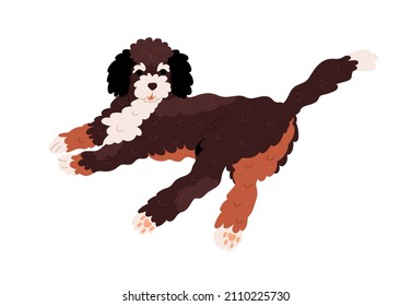 Cute Labradoodle dog relaxing, lying. Happy Goldendoodle doggy with curly wavy coat. Canine animal of fluffy doodle breed. Friendly puppy. Flat vector illustration isolated on white background