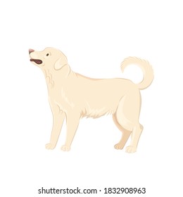 Cute labrador dog vector illustration. Sand labrador clip-art isolated on white background.
