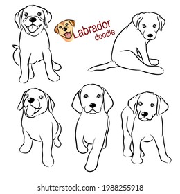 Cute  Labrador letriever puppy doodle. Collection in different poses in free hand drawing illustration style.