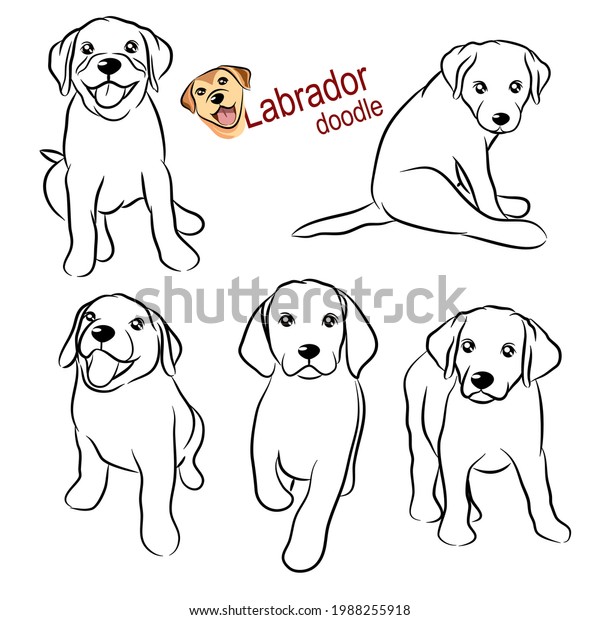 かわいいラブラドール レトリエバーの子犬が落書き 自由手描きのイラストスタイルで さまざまなポーズのコレクション のベクター画像素材 ロイヤリティフリー