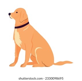 Cute Labrador puppy sitting over white