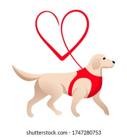 Cute labrador and red heart leash isolated on white background. Love and dogs template. Logo design for dog walking, training or dog related business. Dog walker or guide-dog concept. 