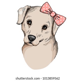 Cute labrador Retriever with bow. Hand drawn fashion Print for t-shirts and bags, poster or greeting card