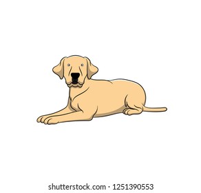 Cute Labrador Retriever Cartoon Dog. Vector illustration of purebred labrador retriever dog.