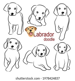 Cute Labrador retriever dog doodle. Collection in different poses in free hand drawing illustration style.