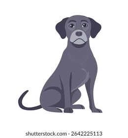 Cute Labrador retriever dog. Flat vector clipart, illustration with isolated background.