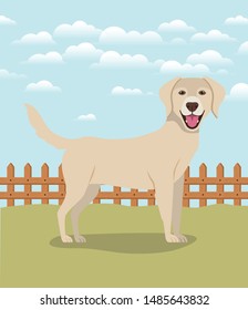 cute labrador retriever dog pet character in the camp