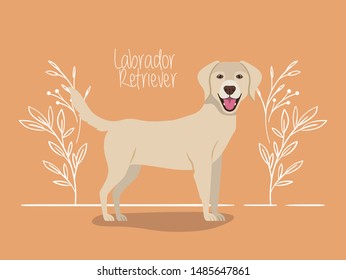 cute labrador retriever dog pet character