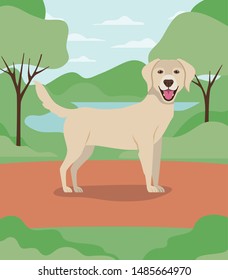 cute labrador retriever dog pet character in the camp
