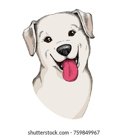 Cute labrador Retriever face illustration. Hand drawn vector dog