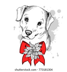 Cute labrador Retriever face illustration with bow and Christmas flower red Poinsettia. Hand drawn vector dog