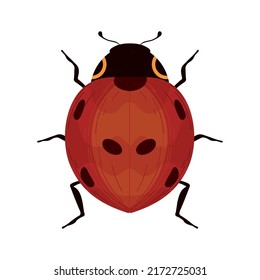 cute ladybird bug icon flat isolated