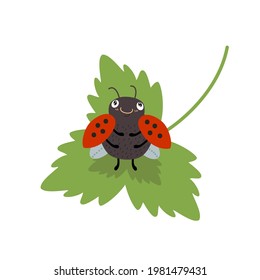 Cute ladybird on green leaf. Funny ladybug, cartoon character. Hand drawn flat vector illustration, isolated on white background