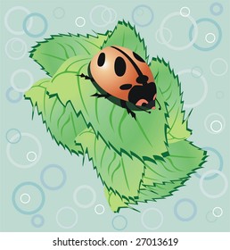Cute ladybird on leaf - vector illustration