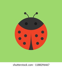 Cute ladybird round vector graphic icon. Black and red ladybug beetle, insect animal head, body illustration. Isolated on green background.