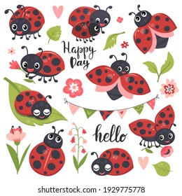 Cute ladybird set, funny little insect collection. Hand drawn vector illustration