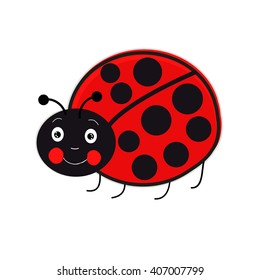 Cute Ladybird vector
