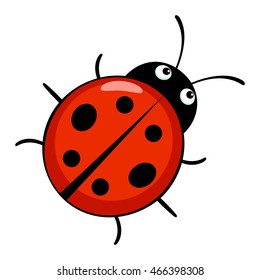 Cute ladybug