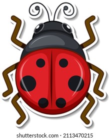 Cute ladybug animal cartoon sticker illustration