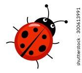 Cute ladybug cartoon