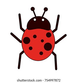 Cute ladybug cartoon