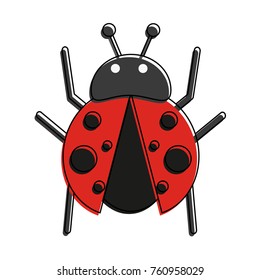 Cute ladybug cartoon