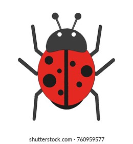 Cute ladybug cartoon