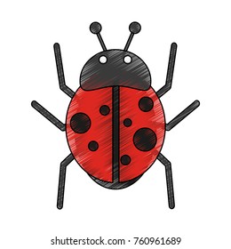 Cute ladybug cartoon
