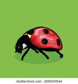 Cute ladybug, Cartoon animal character design, Kawaii Kid graphic. Vector illustration.