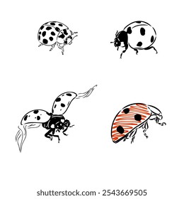 Cute ladybug cartoon character outline