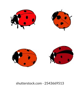 Cute ladybug cartoon character outline