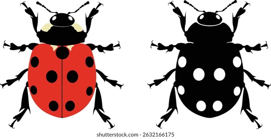 Cute ladybug cartoon character outline coloring page