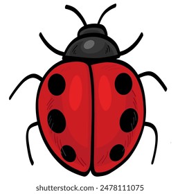 Cute Ladybug Cartoon Insect Vector Illustration