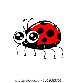 Cute ladybug cartoon. Ladybird bug isolated on a white background. Vector illustration.