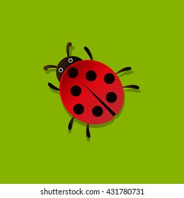 Cute ladybug cartoon on green background, vector illustration