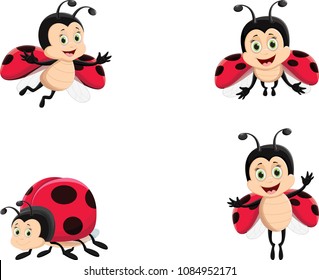 Imagens, fotos stock e vetores similares de Cartoon funny ladybug