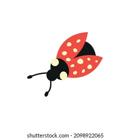 Cute ladybug character hand draw  naive art