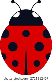 Linda colección de personajes de mariquita. Mariquita de dibujos animados volando con el camino punteado. Mariquitas volando en la ruta punteada. conjunto de iconos de mariquita. Grupo de insectos. Ilustración vectorial aislada en blanco.